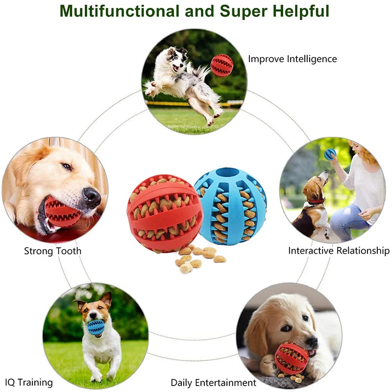 Fun Chew Toy Ball