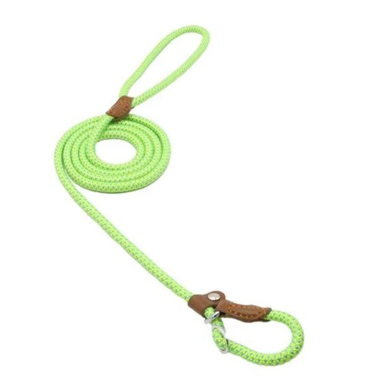 Stylish Nylon Pup Set