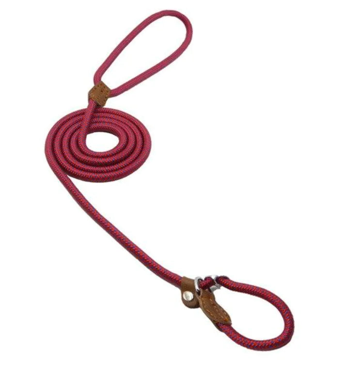 Stylish Nylon Pup Set
